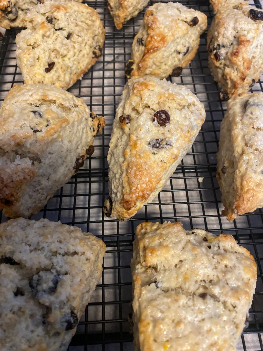 Freshly baked scones